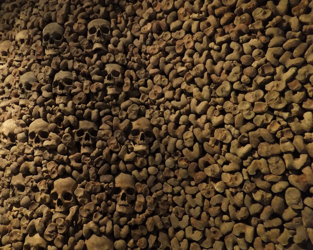 Bones of Brno