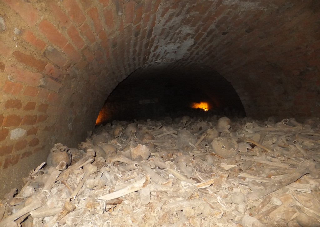 A pile of bones 2 metres high