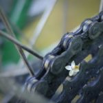 flower on bicycle cogs
