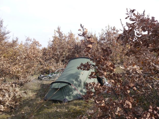 My tent hiding in some bushes