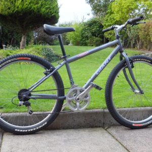 Giant mountain bike