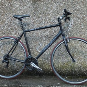 Giant hybrid bicycle