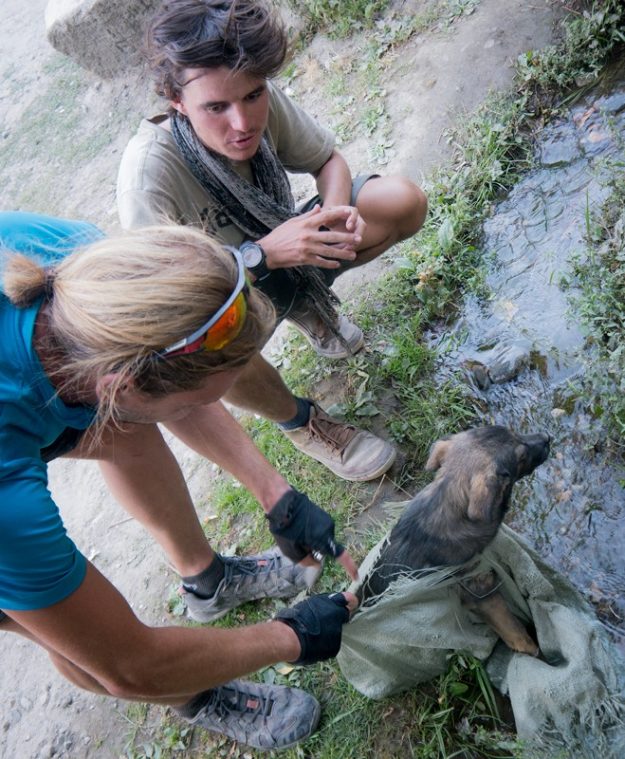 A dog tied in a bag in Tajikistan